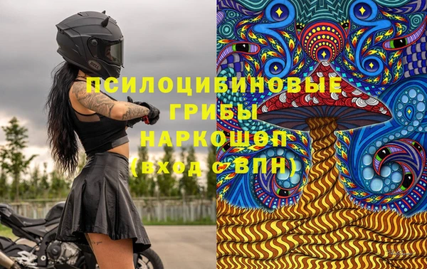 apvp Алексеевка