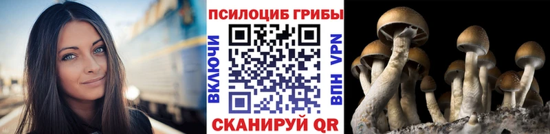 Галлюциногенные грибы Cubensis  hydra зеркало  Кимры 